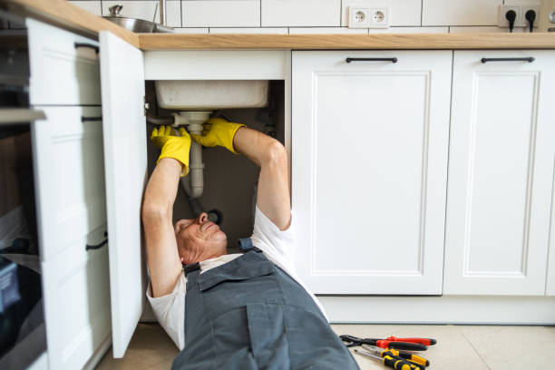 Best Septic Systems  in Wales, WI
